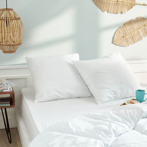Lot de 2 oreillers 60 x 60 cm Blanrêve Gamme "Douceur" traité Anti Acarien Soft & care - Blanc - (1/4)