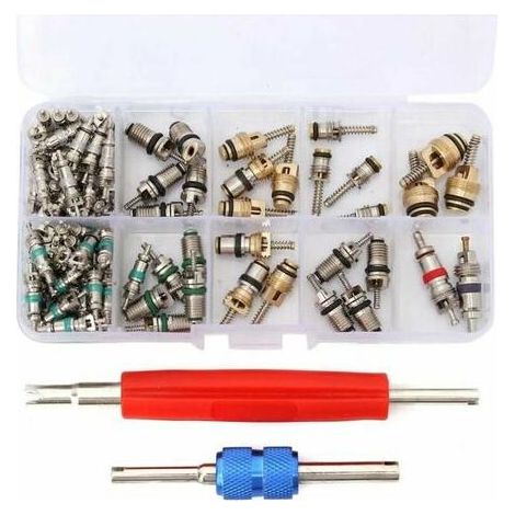 100x Valve Core R12/ R134A Voiture Air Climatiseur Vanne Noyau Démonte obus Kit, Ensoleillé (1/4)