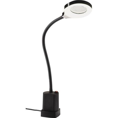 Lampe de travail LED 6 W 550 lm (1/5)