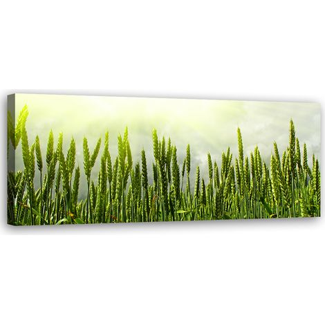 Tableau sur toile Champ de blé 90x30 (1/5)