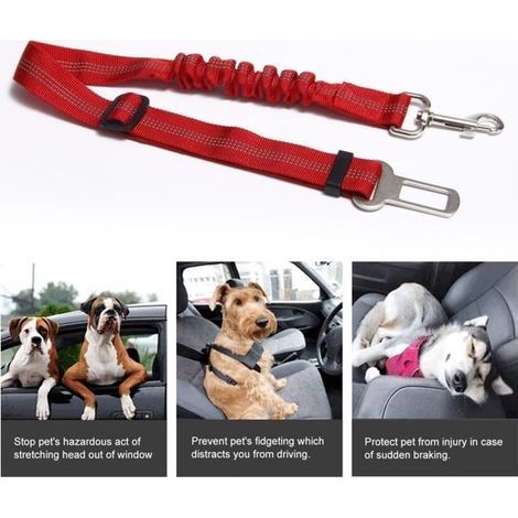 Ceinture de sécurité pour animal - Non spécifié - Réglable - Rouge - Nylon - 72 cm (1/4)