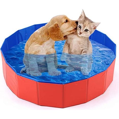 Piscine pliable pour animaux, piscine pour enfants, baignoire pliable en plastique rigide PVC, piscines extérieures pour chiens, chats et enfants (1/4)