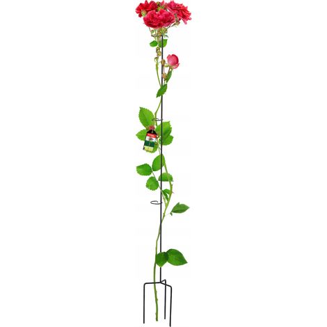 KADAX Soporte para Flores Soporte con Clip de Acero para Rosas 140 cm
