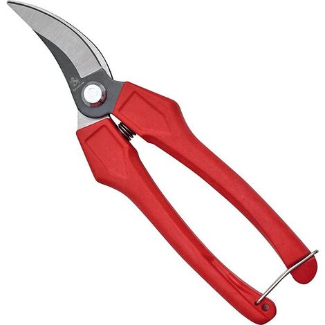 FORBICI VENDEMMIA COGLIUVA 18cm CURVA POTA UVA FRUTTA AUSONIA (1/2)