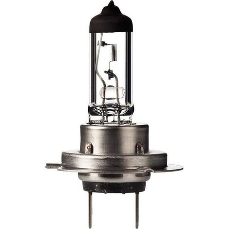 Ampoule UNIVERSEL B12067KLL