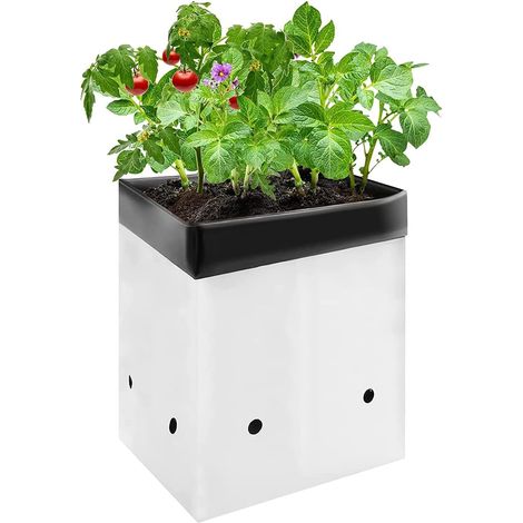 50 sacs de plantation par 12 litres, sacs en plastique noir et blanc épais, adaptés au rempotage et à l'enracinement des semis.