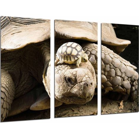 Cadre photo poster photographique multicolore 97 x 62 cm (1/3)