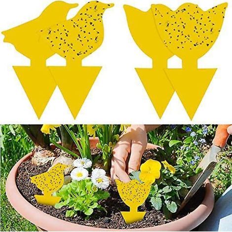 JSSEVN - 48 pegatinas amarillas para trampas de moscas enchufables. Protección amarilla para plantas contra pulgones, moscas de las hojas y otras plagas. (1/5)