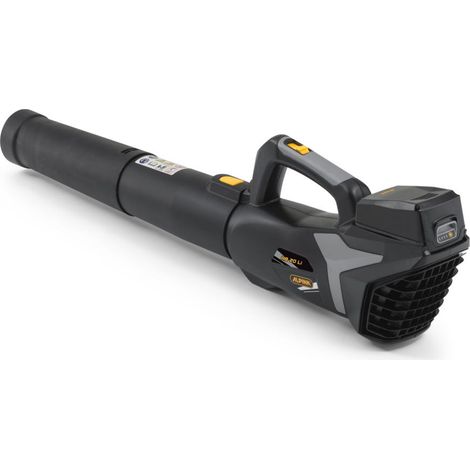 SOFFIATORE ALPINA 20V AB 20 (1/5)