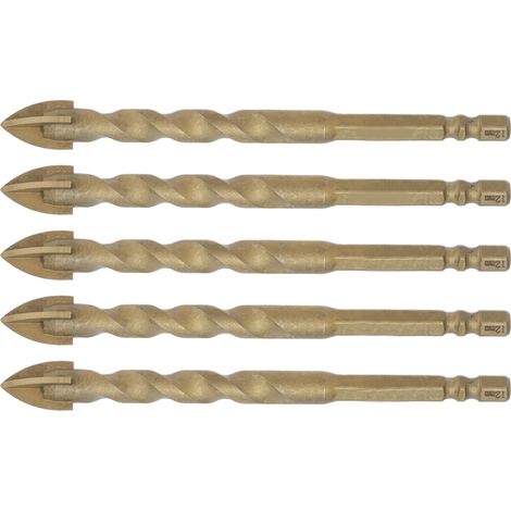 5 Mèches en Carbure pour Verre, Céramique, Marbre, Diamètre 12mm avec Douille Hexagonale 1/4" (1/5)