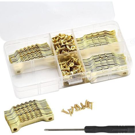 100 ganci per quadri con 200 viti a testa piatta e cacciavite, gancio per quadri, appendi quadri, appendi quadri, gancio per quadri, gancio per quadri da parete, gancio per cornice da parete (1/5)