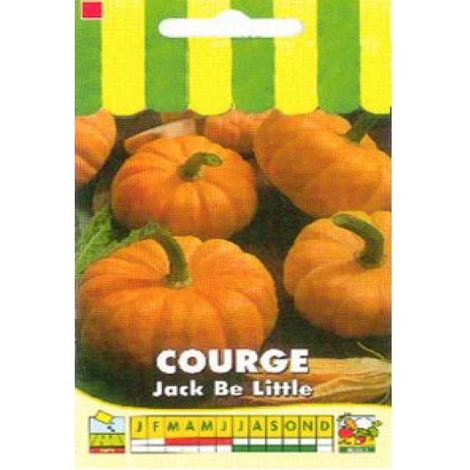 Courge 'Jack Be Little' le sachet de 25 graines (2g) (1/2)