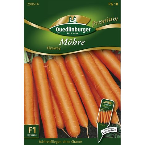 Quedlinburger Saatgut – Carotte Flyaway – Graines de légumes, hybride mi-précoce, racines de 20 cm (1/2)