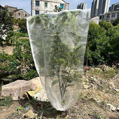 50 sacs de protection pour fruits, filets de 33 x 53 cm, sacs de jardin à cordon, sacs pour arbres fruitiers, filets barrières de protection (1/5)