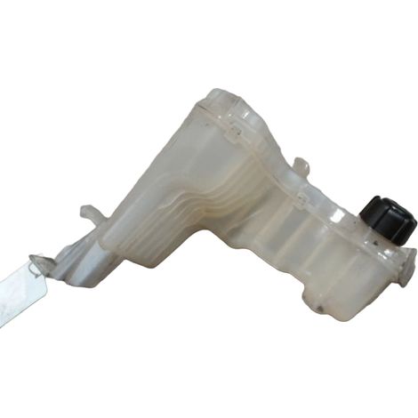 Vase Expansion RENAULT Laguna III 2007- [PRODUIT D'OCCASION]♻️217100014r (1/3)
