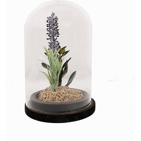 Plante artificielle sous cloche en verre 13x19cm - Motif 1 - SILUMEN