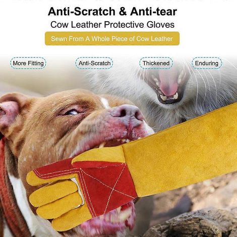 Gants pour animaux, 60 cm (23,6 pouces), résistants aux morsures, en cuir, pour chats, chiens, oiseaux, serpents, multi-usages