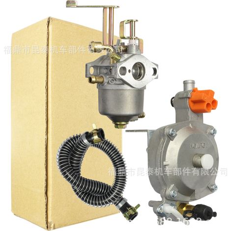 Gasoline-Gas Gas Generator Set with Dual Fuel Carburetor 1KW 154F For GT241 P15A-LPG (1/5)