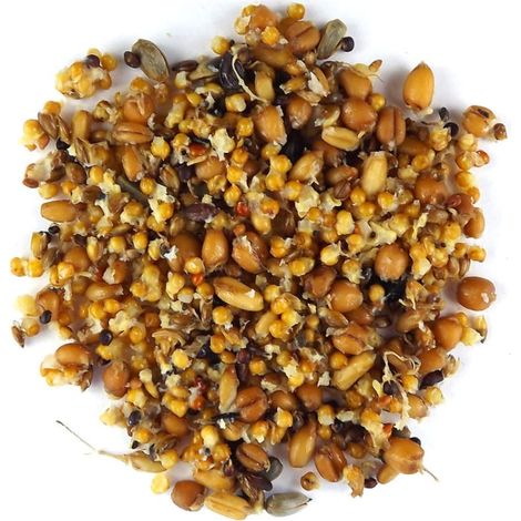 Claus Keimfutter - Germogli naturali per parrocchetti e altri piccoli papua 370 ml (1/2)