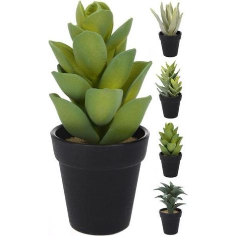 IMPORTACION maceta cactus 18 cm surtidas , Maceta cactus 18 cm. surtidasVendido individualmentePerfecto para amueblar su entorno con gusto y eleganciaIdeal para uso en