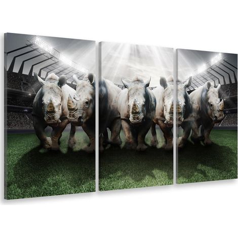 Tableau triptyque sport rhinos rugby club - 90x60 cm (1/4)