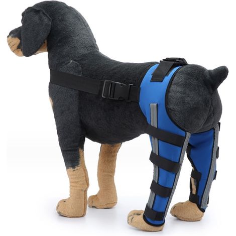 Genouillère réglable pour chien, support flexible avec armature métallique et bandes réfléchissantes, bleu, tailles XS à L (1/5)