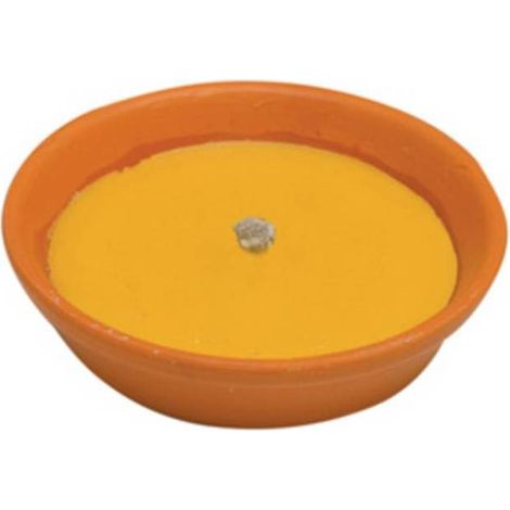 53 x CITRONELLA IN COCCIO ANTIVENTO D 11 CM