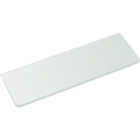 Etagère en verre 200x100x8mm, verre dépoli (1/4)