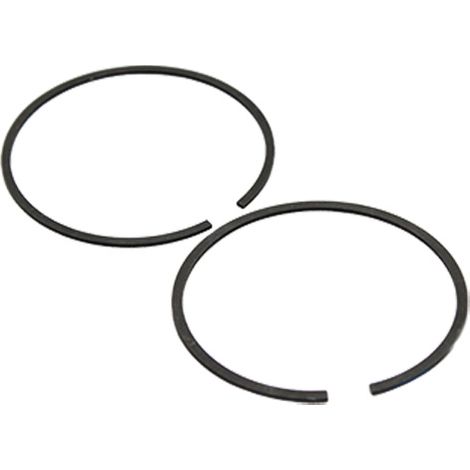 Jeu segments BRIGGS ET STRATTON 699658 (1/2)