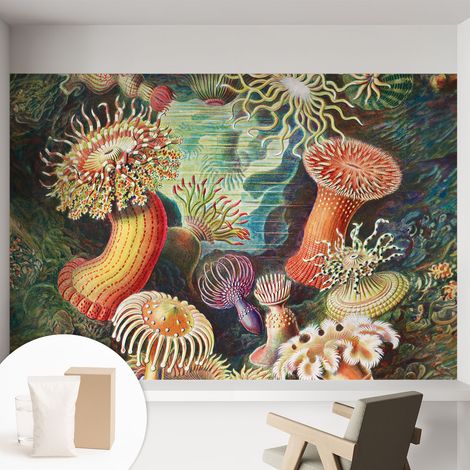 Papier peint intissé pour salon chambre à coucher peint imprimé pour mur - Colle incluse gratuite Anémones fantaisistes 152x104 cm (1/5)