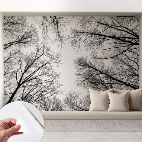 Selbstklebend Tapete - abwaschbar - Raumgestaltung Schlafzimmer Wohnzimmer Tapete Kahle Äste 208x146 cm (1/5)