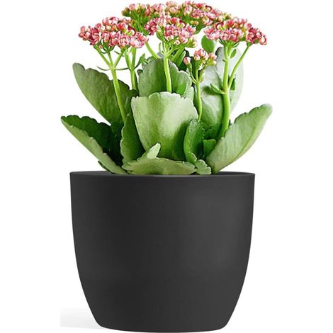 Lot de 3 pots de fleurs à arrosage automatique noirs, diamètre 15 cm, plantes d’intérieur (1/5)