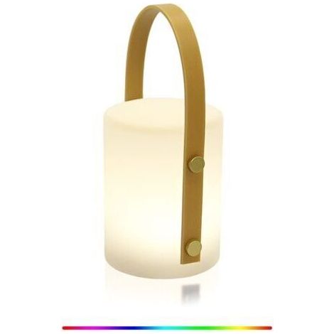 BARKBUSTERS Vtizikl Lampe de Table Extérieure,8 Couleurs Gradable RGB Lampe de Table sans Fil,Portative Rechargeable Lanterne étanche lampe ambiance, pour chambre à coucher,camping en plein air,salon (1/5)