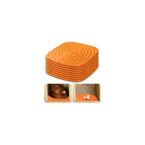 Lot de 8 tapis de nichoir pour poules, tapis de nidification, lavables, convient pour pigeons, canards et autres petits animaux à fourrure (1/5)