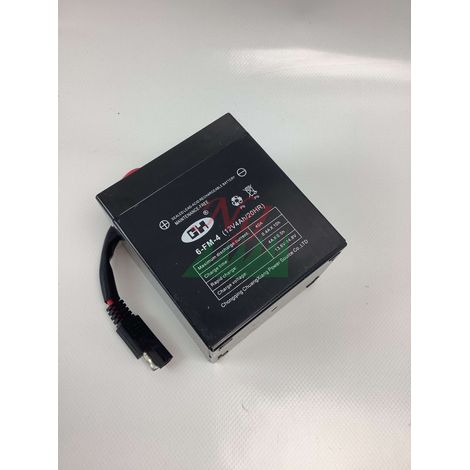 Bater铆a 12v 4,5a CASTELGARDEN - GGP 118120064/0
