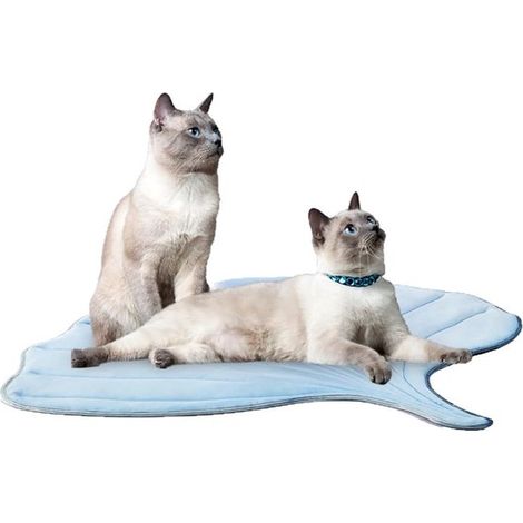 Alfombrilla refrescante para mascotas con diseño de hoja de ginkgo – Alfombrilla autorefrescante para gatos y perros – Antideslizante y lavable – Para uso en interiores – Talla S – Azul (1/5)