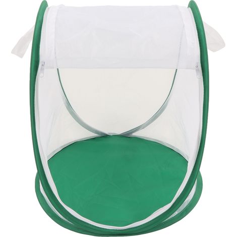Cage à Insectes Grande et Verte, Habitat pour Papillons, Pliable avec Poignée pour Observation et Nourrissage