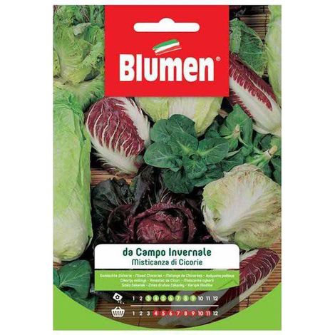Blumen. Semi di Misticanza di Cicorie da Campo invernale