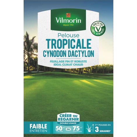 Vilmorin – Pelouse tropicale Cynodon dactylon 500 g – Résistante à la chaleur et à la sécheresse – Tapis végétal vert tout l'été