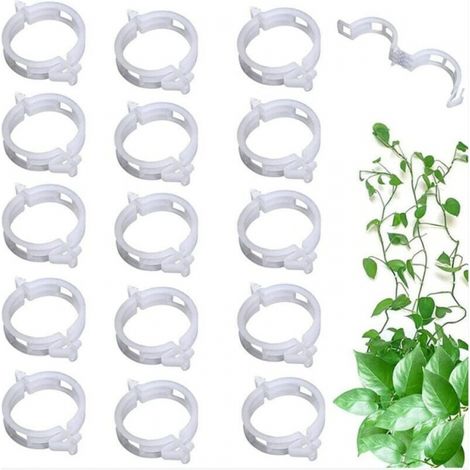 100 Stück geschlossene Pflanzenstützklammern für Kletterpflanzen, Grünpflanzen, Tomaten, Reben, weiß