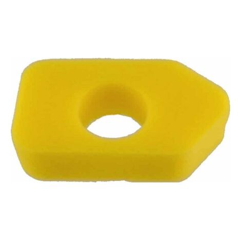 Filtro Air BRIGGS et STRATTON 698369
