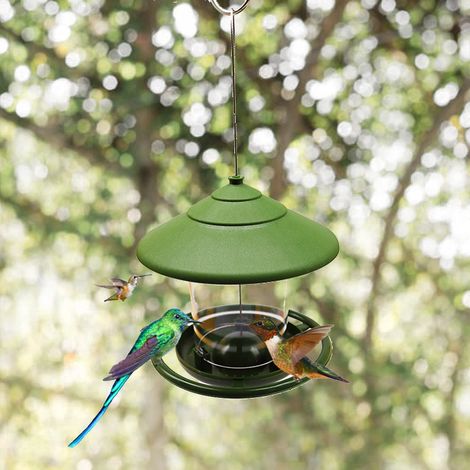Hängender Futterspender für Wildvögel – Schale – Mischungen – Sonnenblumenkerne – Erdnüsse – Nussbehälter