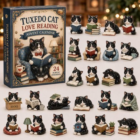 Chat noir et blanc qui lit calendrier avent 2026 2D