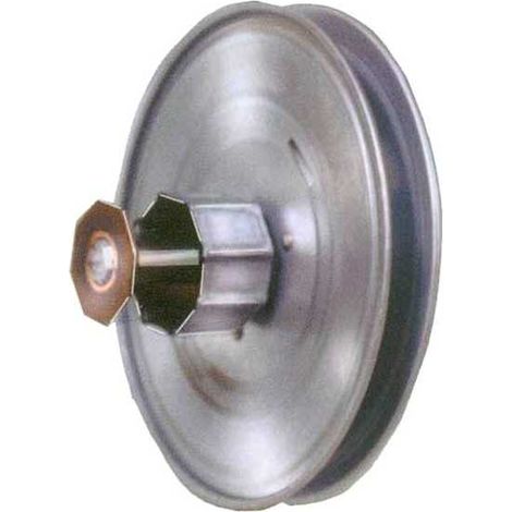 Polea reductora 1:2,5 mm 250 Rulo con rodillo moldeado