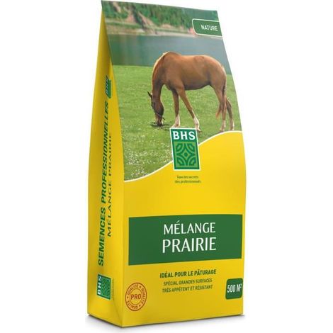 Gazon - BHS - Mélange Prairie 5kg 500m² Pour zones extensives et pâturage Installation rapide, résistant, sans entreti