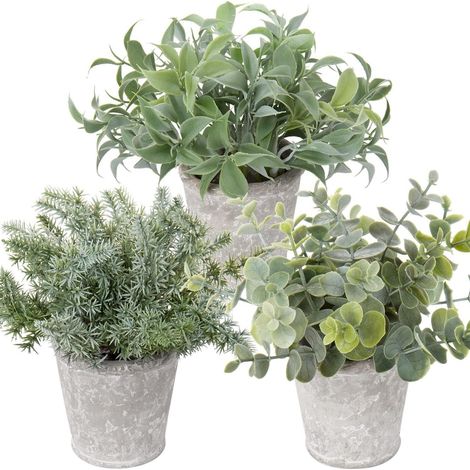 Künstliche Mini Kunstpflanzen Set Eukalyptus Rosmarin Kräuter Zementtopf (1/5)