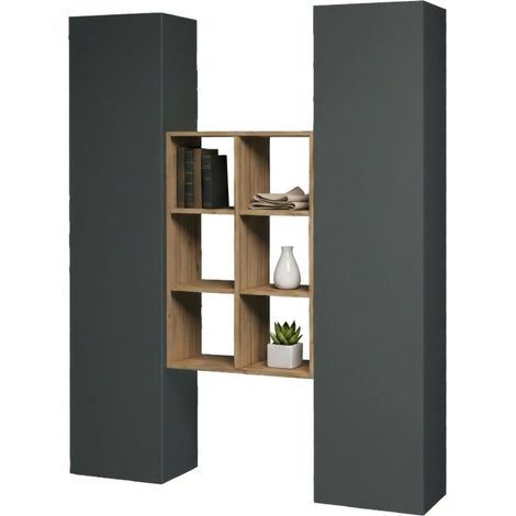 Dmora - Credenza Danila, Set da soggiorno a 2 ante e ripiani, Buffet da soggiorno, Madia da cucina, 100% Made in Italy, cm 140x30h180, Antracite e Acero