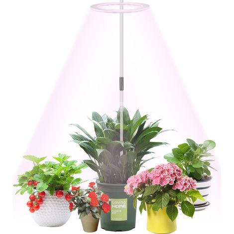 Lampe de croissance LED Full Spectrum pour plantes intérieures avec timer 8/12/16h pour fleurs, légumes, succulentes - Blanc/Rose (1/5)