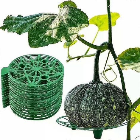 Garten- und Obstschale für Melonen und Wassermelonen, Haushalts-Wassermelonenschale, Gartenobst-Antifäule-Halterung, stabile Kunststoffschale für Wassermelonen (1/4)