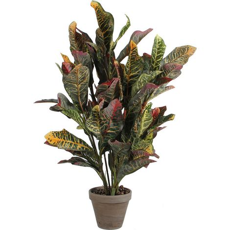 PVC vert Croton avec pot gris (1/3)